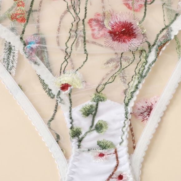 Floral Embroidered Mesh Sheer Panty - Picture 2 of 5
